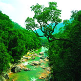 LIMU MOUNTAIN NATIONAL FOREST PARK
