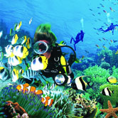 diving